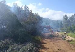 Hatay Kırıkhan’da ormanı yangını çıktı