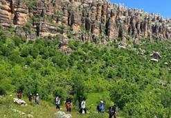 Diyarbakır'da bu konuma turist yağıyor! Doğal yaşam alanları fazlalaşıyor