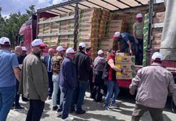 Erzincan'da 220 çiftçiye 780 bin fide dağıtıldı: Üretim maliyetlerini düşürecek