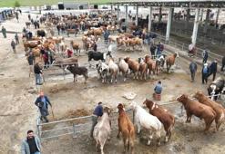 Kurban Bayramı'na sayılı günler kala Sorgun canlı hayvan pazarında hareketlilik yaşandı