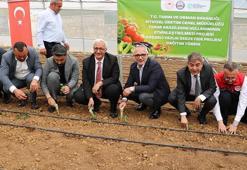 Gebzeli çiftçiye büyük destek! Onlarcası bedava dağıtıldı
