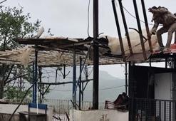 Derecik'te fırtına; çatılar uçtu, seralar zarar gördü