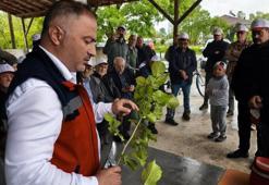 Terme'de üreticilere 'aşılama' sertifikası verildi