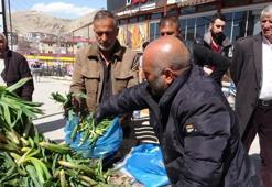 Van'da 2 bin metre yükseklikte yetişiyor! 100 TL'den satışa çıktı, pazara gelir gelmez bitiyor