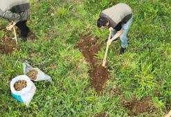Kocaeli'de 40 kilo toplayan kişiye 700 bin TL ceza kesildi!