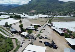Yeşilırmak Nehri taştı Amasya’da tarım arazileri sular altında kaldı