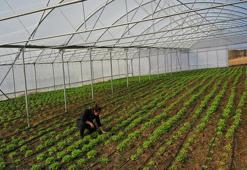 Kocaeli'de çiftçinin gelirini katlayacak proje! Son başvuru tarihi belli oldu