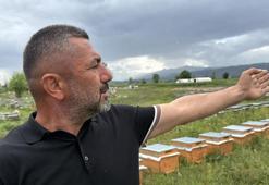 Tokat'ta arıcılar mahsur kaldı! Yaylada kar, ovada sel izin vermiyor