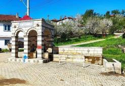 Kütahya'da doğa harikası köy: Her adım başında göze çarpıyor