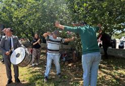 İznik'te sezonun ilk erik hasadı davul zurna eşliğinde göbek atarak yapıldı
