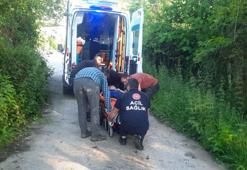 Kastamonu Cide’de bal arısı hastanelik etti