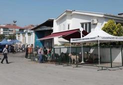 Eskişehir'de ücretsiz kurban kesimi: Bir ilçede yapılacak