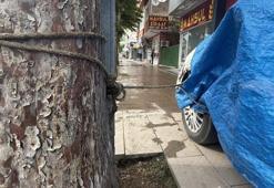 Tokat'ta sel riski! Turhal'da taşkın korkusuyla vatandaş otomobilini ağaca bağladı