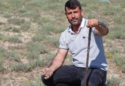 Konya'da boş arsada demirle günde 60 bin TL buluyor: Ev, arsa, araba aldım