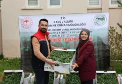 Kars'ta kısa süren sezona ilaç gibi destek! Maliyeti tamamen sıfırlandı: Atıl araziler ekonomiye kazandırılacak