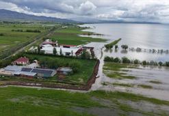 Elazığ'da üreticilerin tedirgi bekleyişi: Çiftliklerin önlerine set çekerek nöbet tutmaya başladılar
