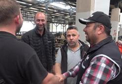 Bursa'da kurban pazarında güldüren anlar! Mali Polis çetin pazarlığa dahil oldu