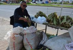 Yaylalardan bedavaya toplayıp, kilosunu 200 liradan satıyorlar! Tam bir şifa deposu