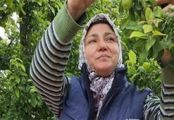 Öyle bir bereket geldi ki... Ne pazara sığıyor ne tezgâha! Manisalı üreticinin yüzü gülüyor