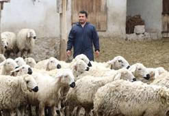 Hastalığına rağmen pes etmedi! Köyüne dönüp kendi işinin patronu oldu