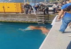 Sarıyer'de denizde fenalaştı: Sahil güvenlik son anda kurtardı