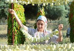 Bölge bacasız fabrikaya dönüştü! Envaiçeşit ürünü Türkiye'nin dört bir yanına gönderiyorlar