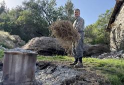 Antalya'da dağlardan bedavaya topluyor, kilosunu 18 bin TL'ye satıyor: Büyük fabrika kuracağız