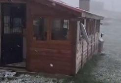 Ordu'nun yaylalarına mayıs ayında kar yağdı