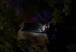 Bursa'da otomobil zeytinliğe uçtu: 2'si çocuk 4 yaralı var
