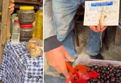 İzmir’de zeytinin tanesi 50 TL! Bakanlık rezalet sonrası harekete geçti