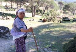 Aydın'da herkes terk etti, sadece Rukiye bacı kaldı