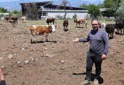 İstanbul'u terk edip memleketine yerleşti: Hobi olarak başladığı ikinci mesleğinde profesyonel üretime geçti