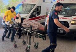 Evine giren yılanı vurmak isterken 5 kişiyi hastanelik etti