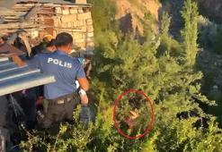 Tedaviyi reddedip kaçan genç, dere yatağına düşerek ağaçta asılı kaldı
