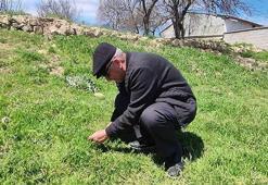 Zorlu mesai başladı! Toplaması saatler sürüyor ama Yozgatlılar vazgeçemiyor