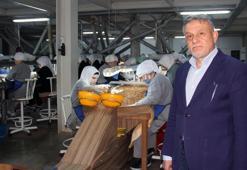 Fındık fiyatlarında sert düşüş! Bu fırsat kaçmaz, tam alım zamanı