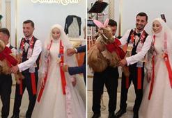 Trabzon'da düğünde damada 'keçi' taktılar: Salon gülme krizine girdi!