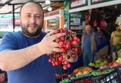 Kiraz bu kez fiyatıyla şaşırttı! Dibin dibini gördü