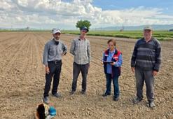 Afyonkarahisar'da kritik süreç başladı! Ekipler sahaya indi, o iki ürün tek tek inceleniyor