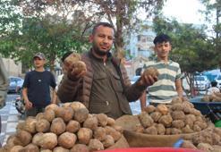 Şanlıurfa'da yetişiyor! En pahalı kebap bu mahsulden yapılıyor