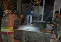 Evin bahçesine giren yılan panik yarattı