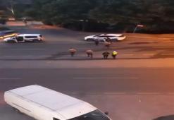 İstanbul'da gece vakti silah sesleri! Bekçiler kovaladı onlar kaçtı