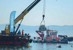 Kocaeli'de proje hayata geçti! İzmit Körfezi'ne 6 bin yeni misafir