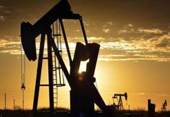 Diyarbakır'a petrol müjdesi! Okul bahçesinde tonlarca keşfettiler, milyonlar cebe girecek
