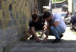 Sivas, Tokat, Çorum değil kabus İstanbul'un göbeğinde patladı: İlk kez böyle bir istila gördüm