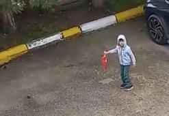 Yerde duran Türk bayrağını gören 5 yaşındaki çocuk koşarak yerden kaldırdı