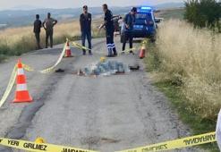 Adana'da kız alıp verme husumeti kanlı bitti: Baba ve oğlu öldürüldü