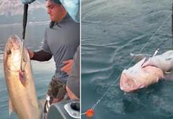 Boyu 1.5 metre, kilosu 56! Denizden çıkan dev 'canavarı' görenler inanamadı