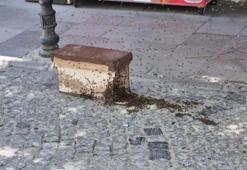 Eskişehir'in göbeğini istila ettiler! Yüzlercesi paniğe yol açtı