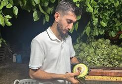 10 saniyede 10 TL kazanıyorlar! Ailecek bu işi yapıyorlar, bir kişinin günlük ücretleri 14 bin TL